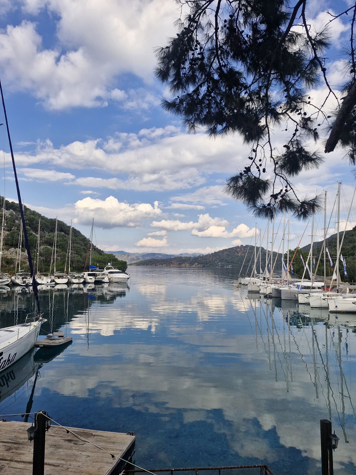 Göbün mesire alanı fotoğrafı